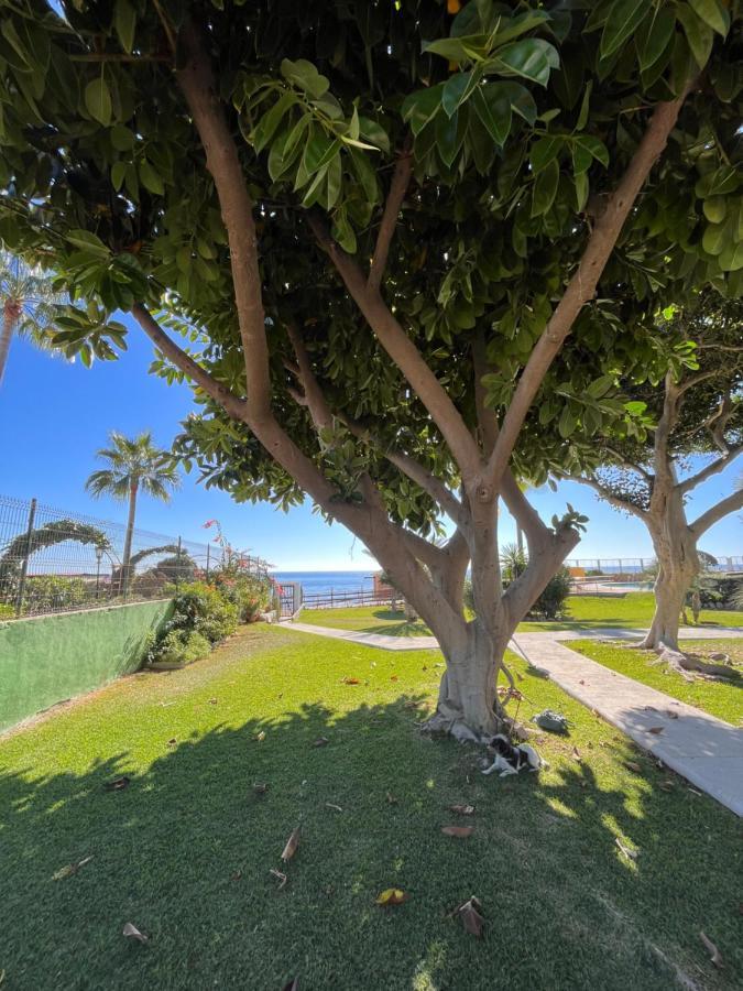 Studio On The Beach Front Malaga Luaran gambar